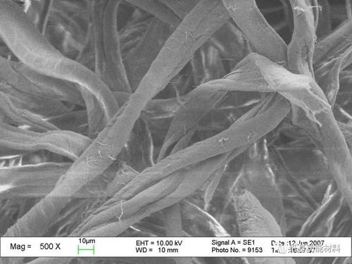 不同植物纤维原料有不同电镜图,用于辨别分析: 图片来自纸基功能材料